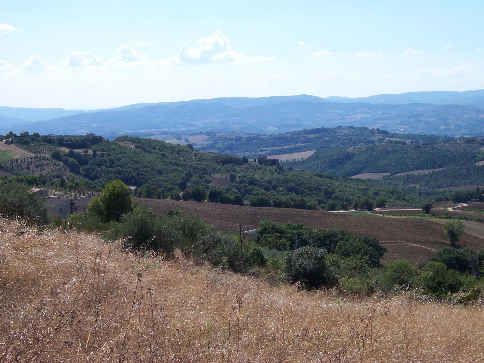 Agriturismo La Casella San Terenziano المظهر الخارجي الصورة